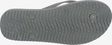 Tongs FLIP*FLOP en gris