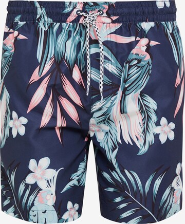 Shorts de bain Threadbare en bleu : devant