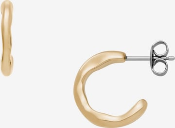 SKAGEN Earrings in Gold: front