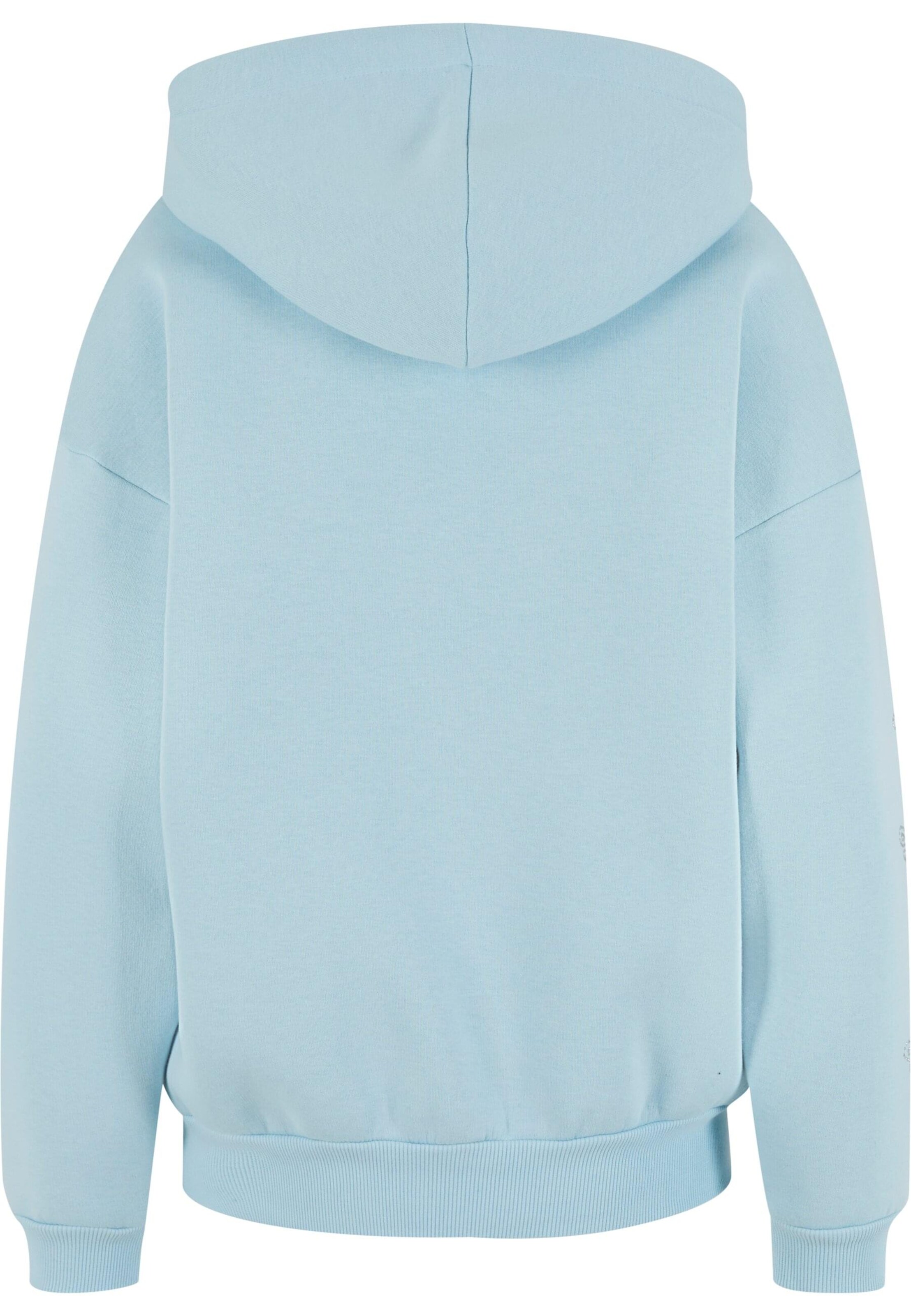 Felicious Sweatshirt in Blue
