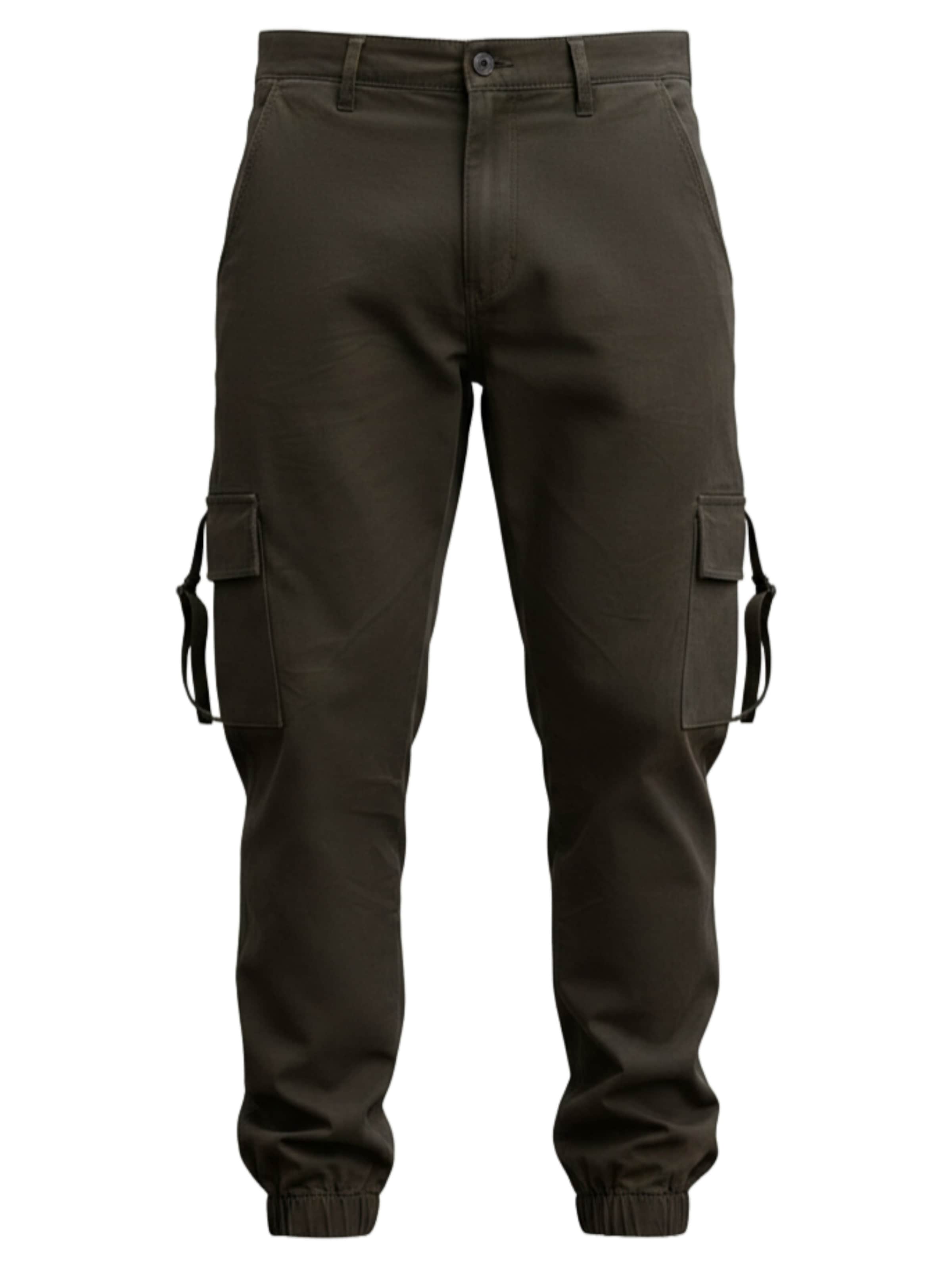 Ombre Tapered Cargo trousers in Brown: front