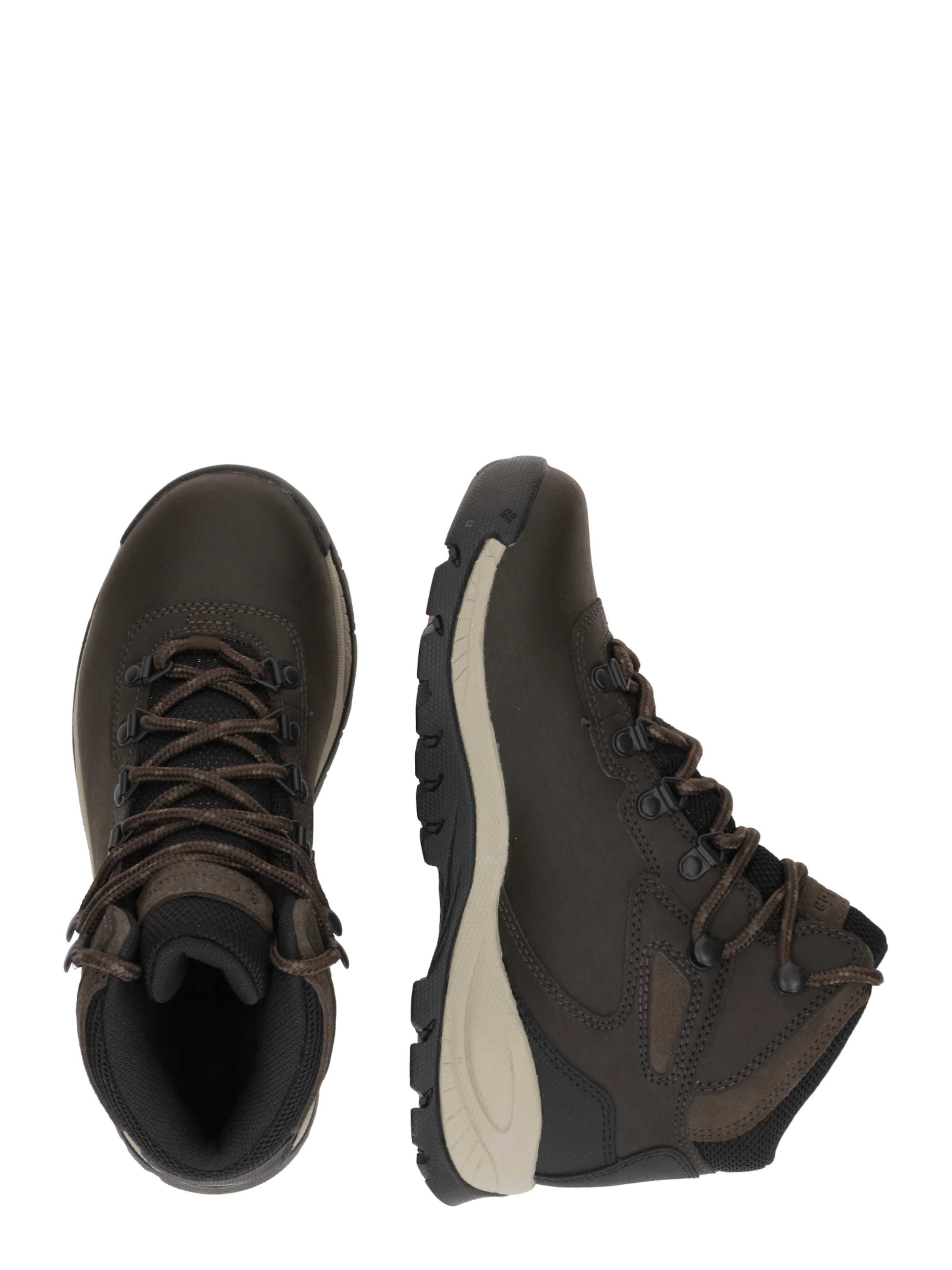 COLUMBIA Ботинки 'NEWTON RIDGE™ PLUS' в Коричневый