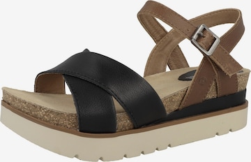 JOSEF SEIBEL Strap Sandals in Brown: front