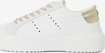 Sneaker bassa di CAFè NOIR in bianco: frontale