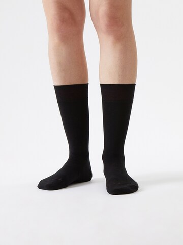 Von Jungfeld Socks 'SIGNATURE Set' in Mixed colors
