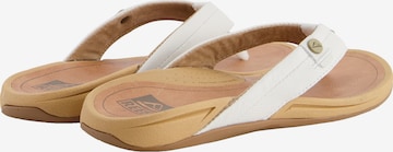 REEF Beach & Pool Shoes 'Pacific' in White