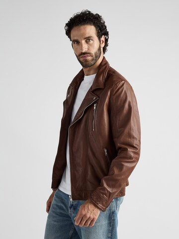 JCC Tussenjas in Bruin