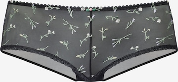 VIVANCEHipster gaćice - crna boja: prednji dio