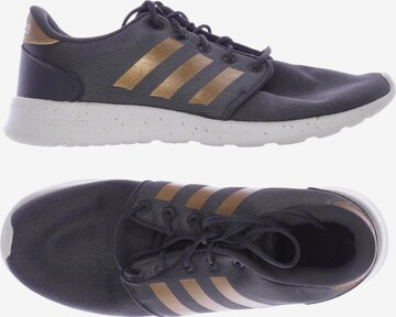 ADIDAS PERFORMANCE Sneakers & Trainers in 42 in Grey: front