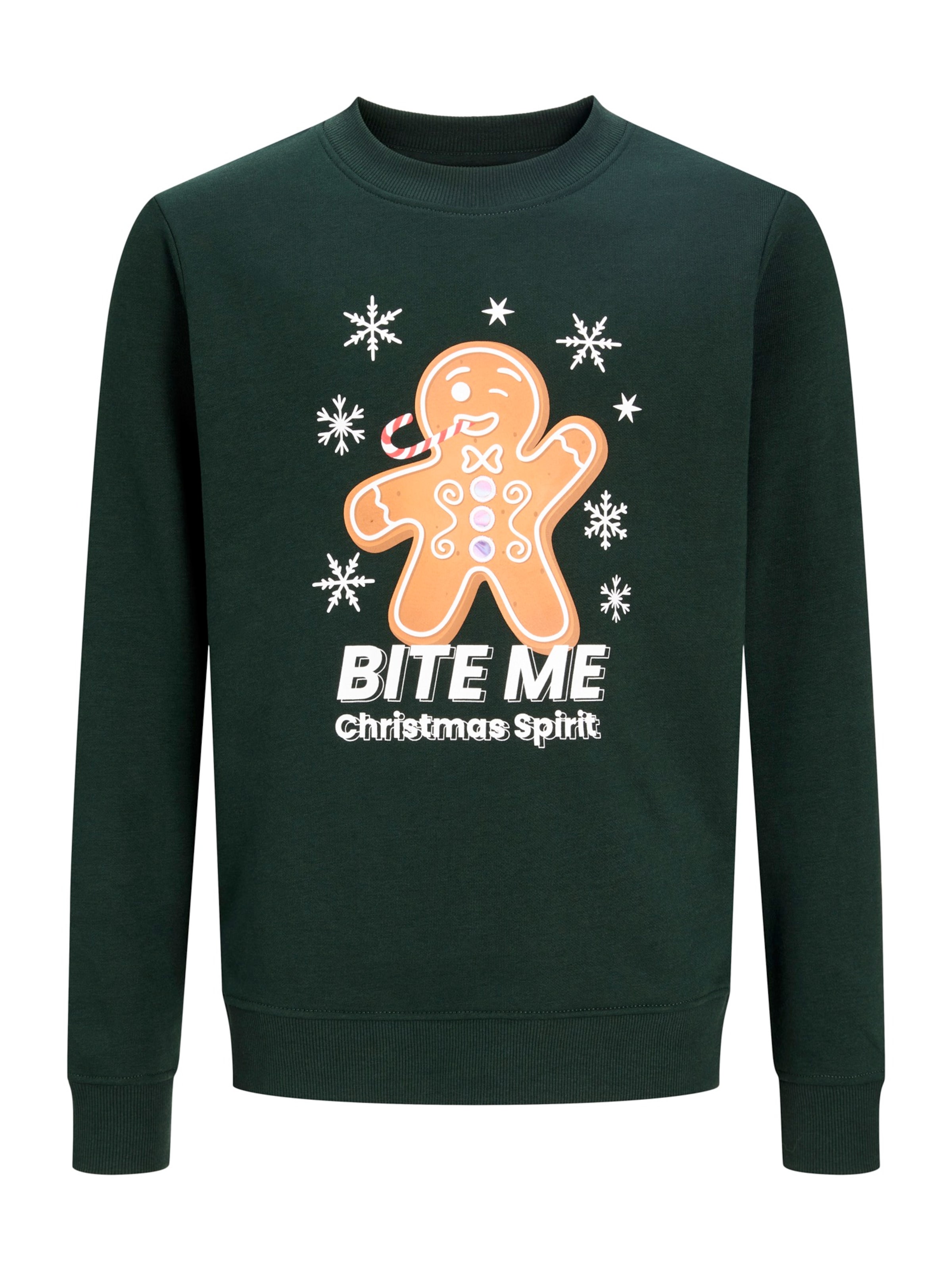 Jack & Jones Junior Sweatshirt 'JJXMAS FUN' in Groen: voorkant