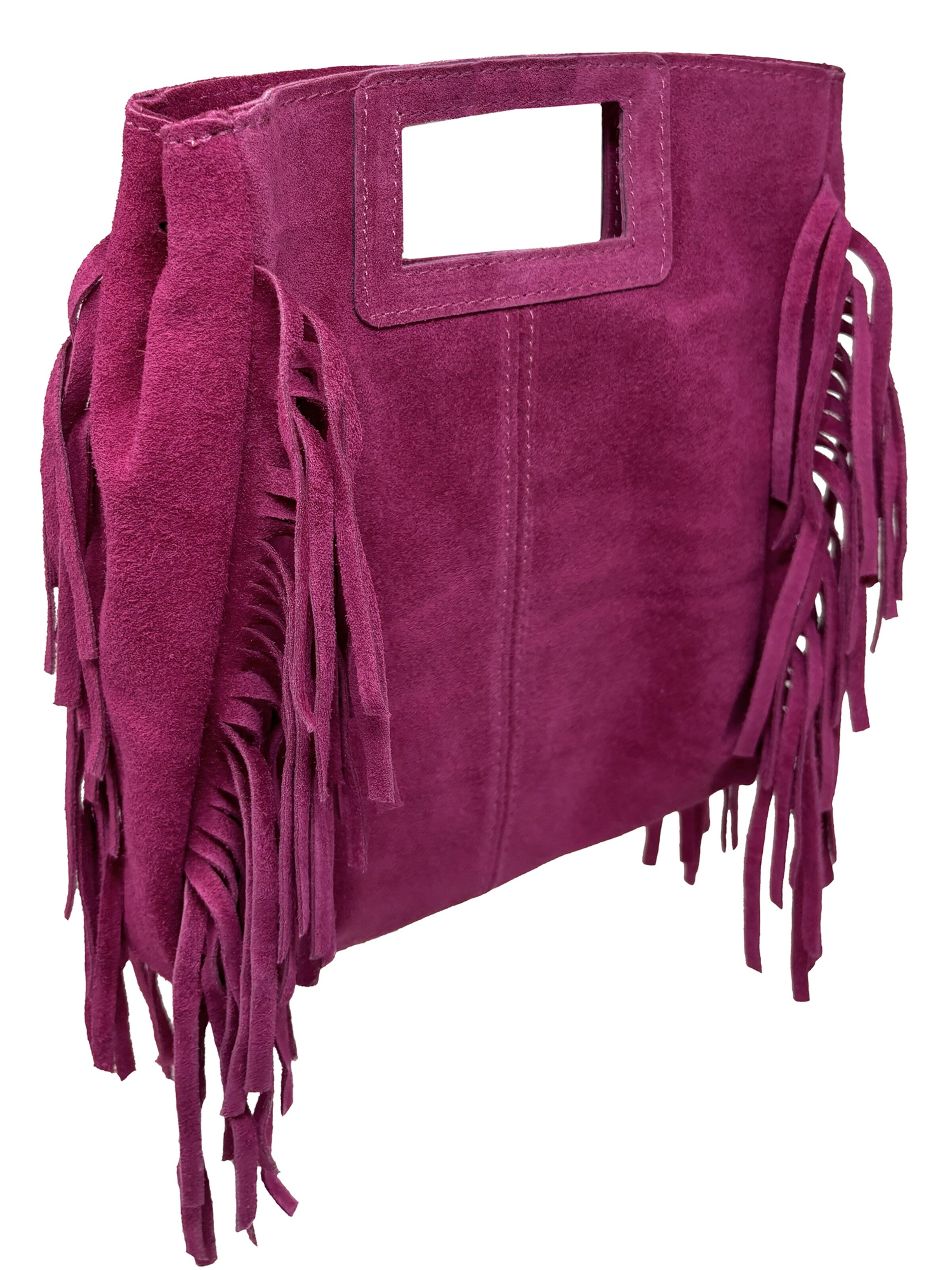 CHICCA BORSE Handbag in Pink