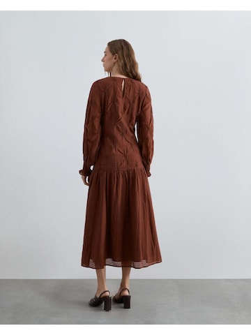 Scalpers Dress in Brown