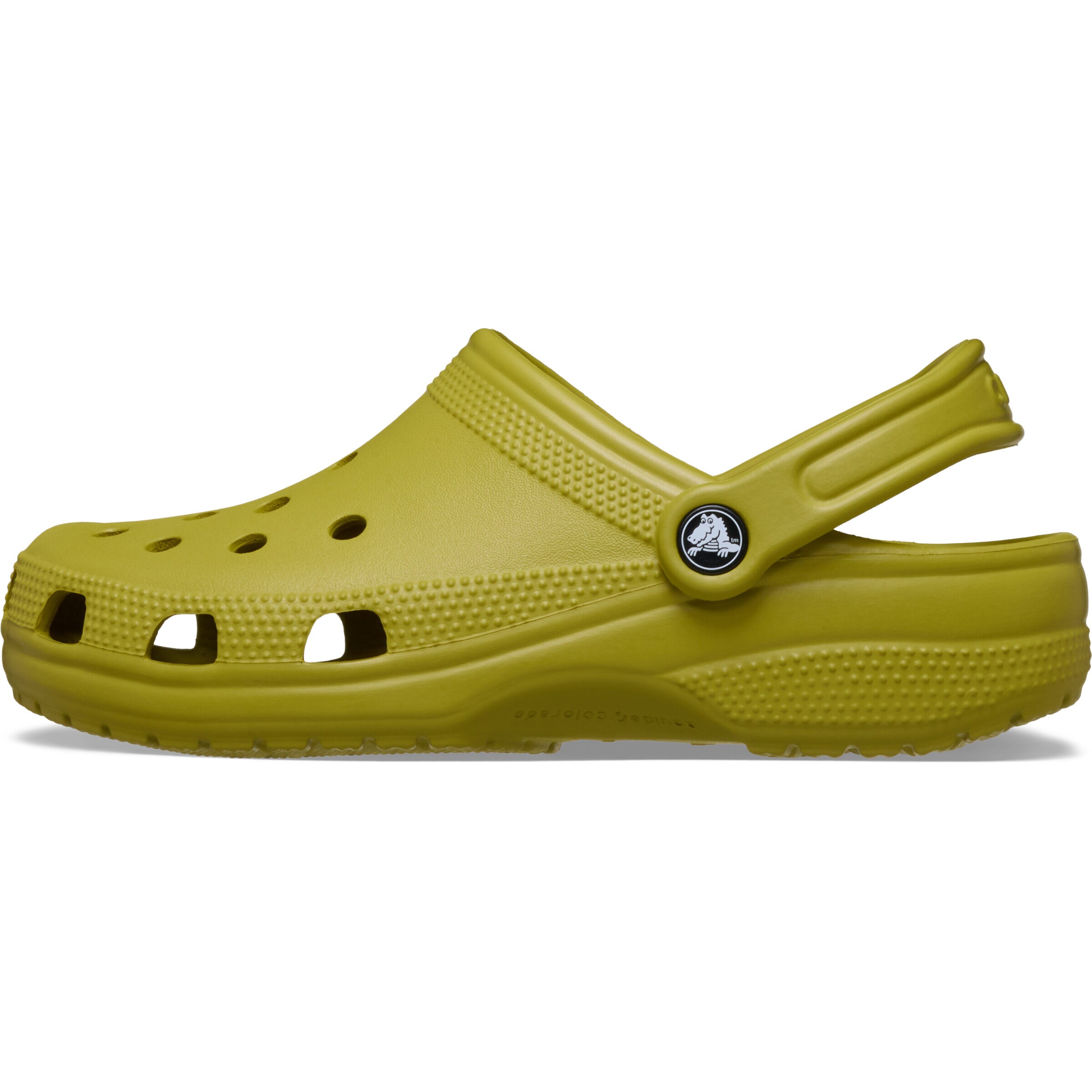 CrocsKlompe 'Classic' - zelena boja: prednji dio