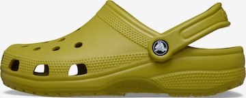 CrocsKlompe 'Classic' - zelena boja: prednji dio