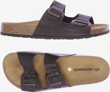 Walbusch Sandals & Slippers in 43 in Brown: front