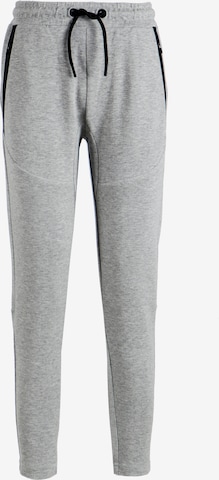 ENDURANCE Tapered Sporthose in Grau: predná strana