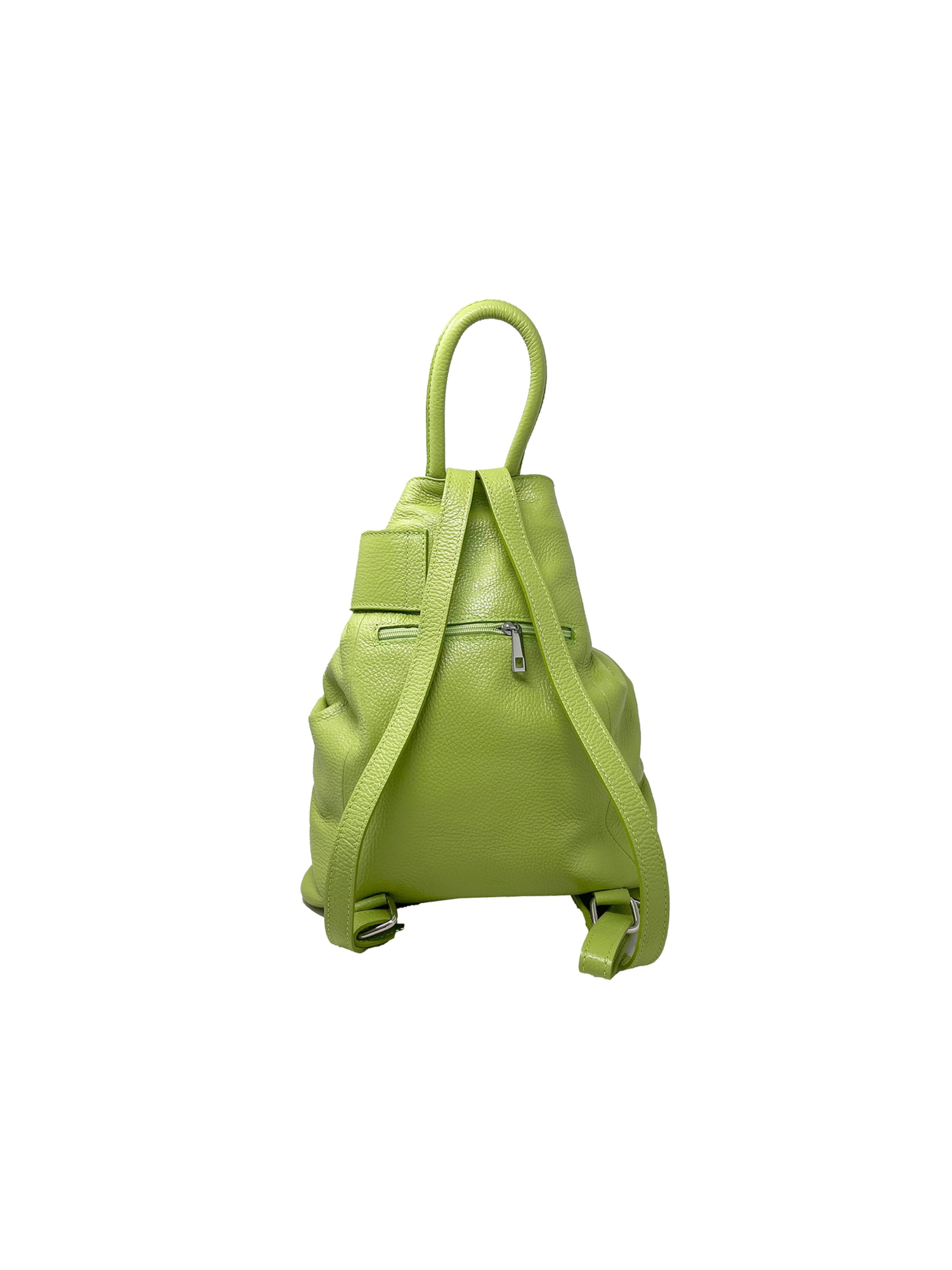 CHICCA BORSE Rugzak in Groen