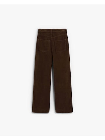 Scalpers Regularen Hlače | rjava barva