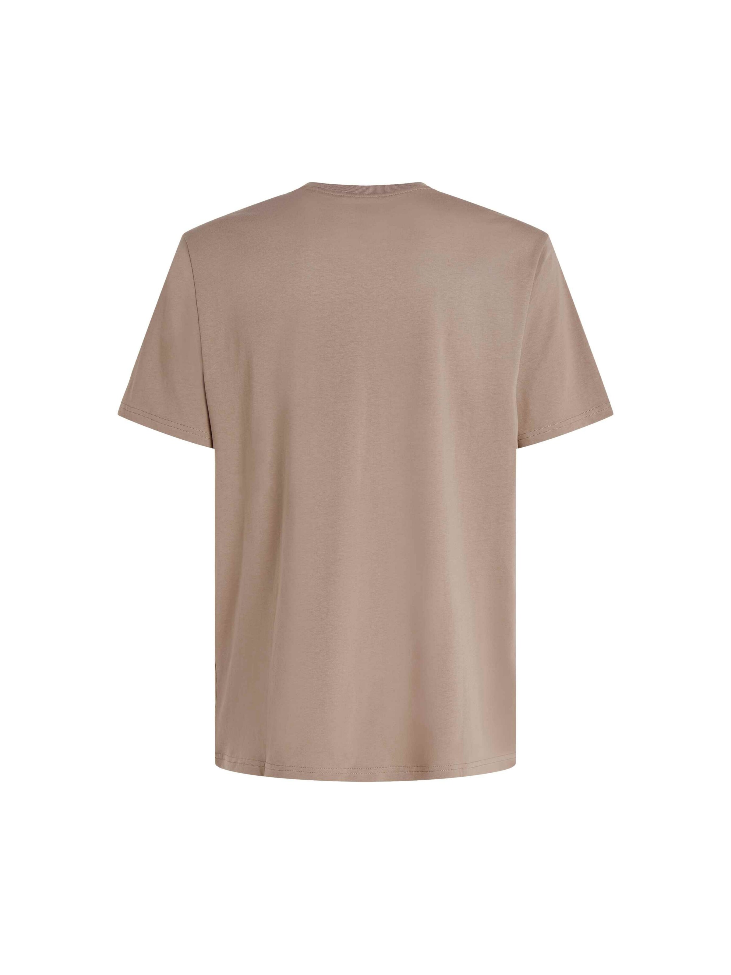 O'NEILL Μπλουζάκι 'Future Surf Society' σε καφέ