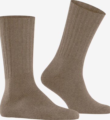 FALKE Socks 'Nelson' in Brown: front