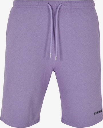 Regular Pantalon 9N1M SENSE en violet : devant