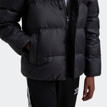 ADIDAS ORIGINALS Winter Jacket 'Adicolor' in Black