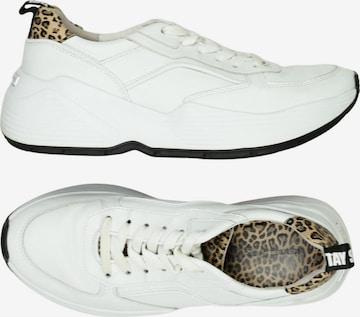 Kennel & Schmenger Sneaker 39 in Weiß: Vorderseite