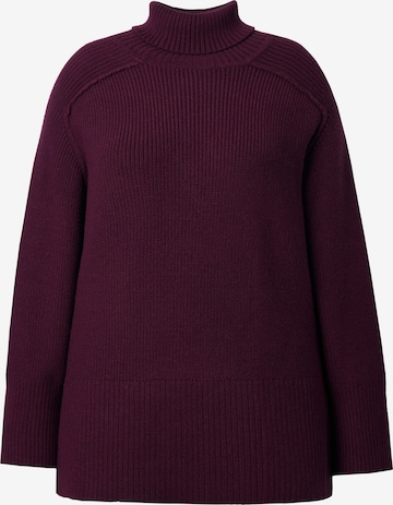 Ulla Popken Pullover in Rot: Vorderseite