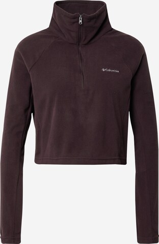 Sweat de sport 'Glacial™' COLUMBIA en marron : devant