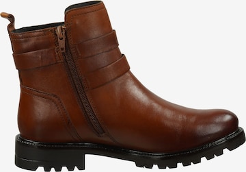 Bottines TT. BAGATT en marron