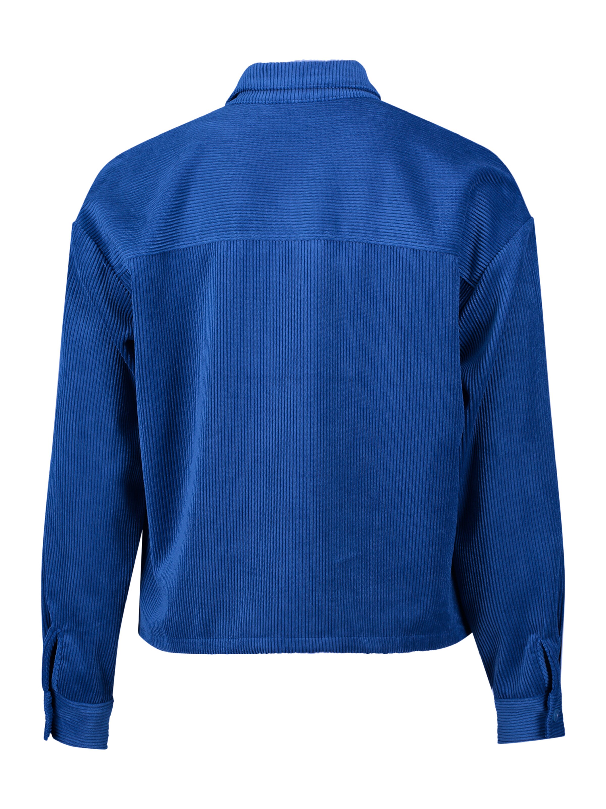 Betty & Co Blouse in Blue