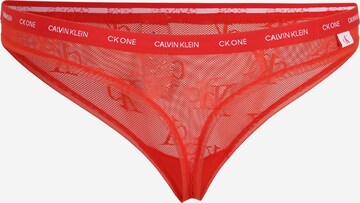 Calvin Klein Underwear Plus Slip in Red