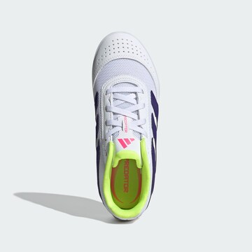 Chaussure de sport 'Predator Club Sala' ADIDAS PERFORMANCE en blanc