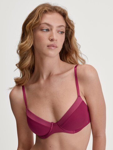 CALIDA T-Shirt BH 'Cate'‌‌ in Lila