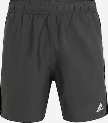 ADIDAS PERFORMANCE Athletic Swim Trunks in Grey: front
