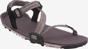 Xero Shoes Sandals 'Z-Trail' in Brown: front