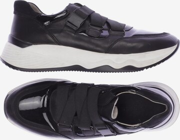 GABOR Sneakers & Trainers in 40,5 in Black: front