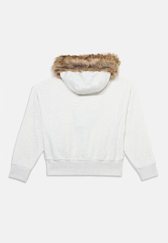 Jordan Zip-Up Hoodie 'FIRESIDE' in Grey: back