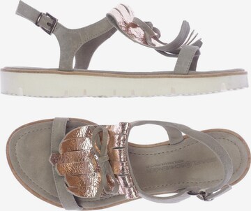 Kennel & Schmenger Sandals & High-Heeled Sandals in 36,5 in Grey: front