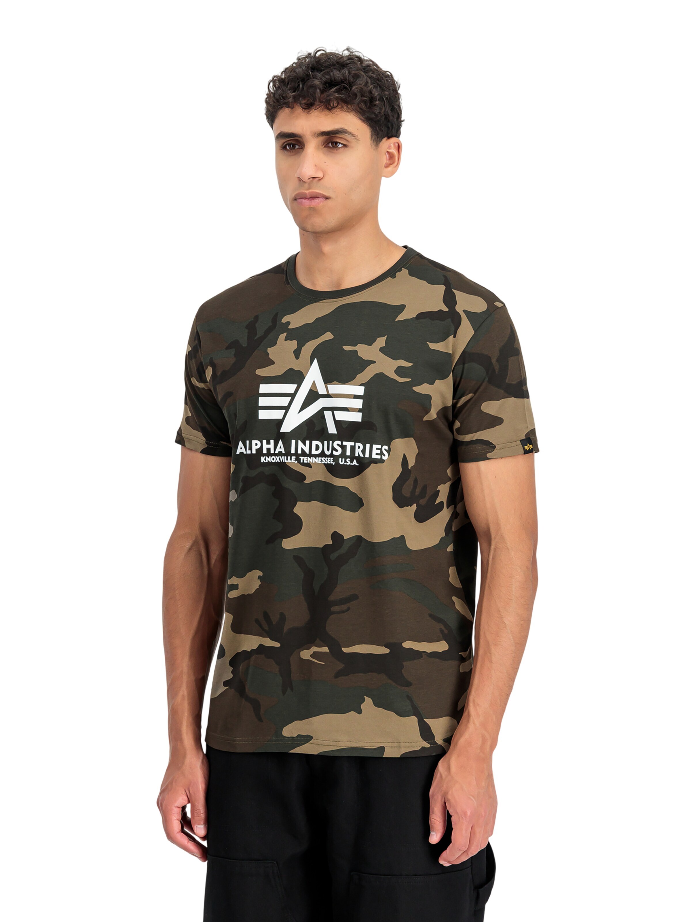 ALPHA INDUSTRIES Shirt 'Basic Logo' in Brown: front