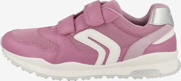 GEOX Sneaker 'Pavel' in Pink