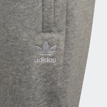 ADIDAS ORIGINALS Sweatsuit in Grey