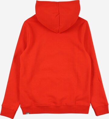 THE NORTH FACE Regular fit Athletic Sweatshirt in Red