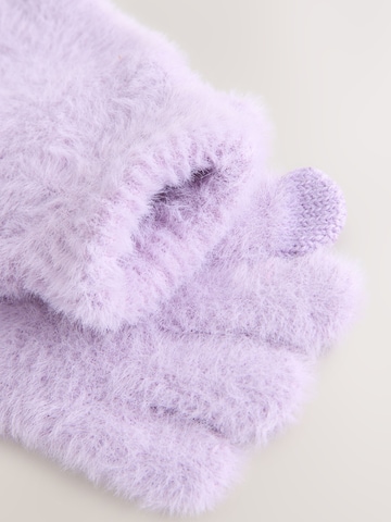 Next Gloves in Purple