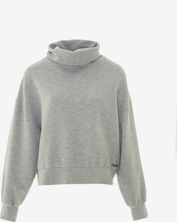 BIG STAR Sweatshirt 'Cecliada' in Grau: predná strana