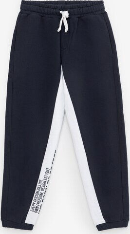 Gulliver Regular Pants in Blue: front