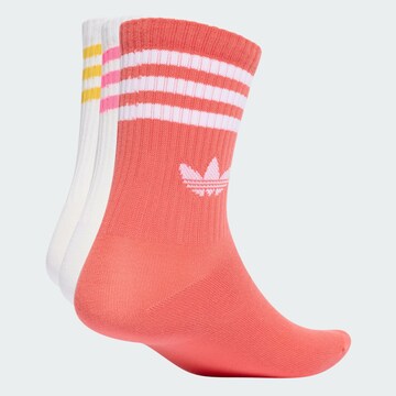 ADIDAS ORIGINALS - Meias em rosa