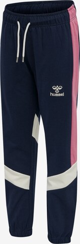 Hummel Regular Workout Pants 'Agnar' in Blue