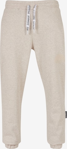 SOUTHPOLE Tapered Pants 'Southpole' in Beige: front