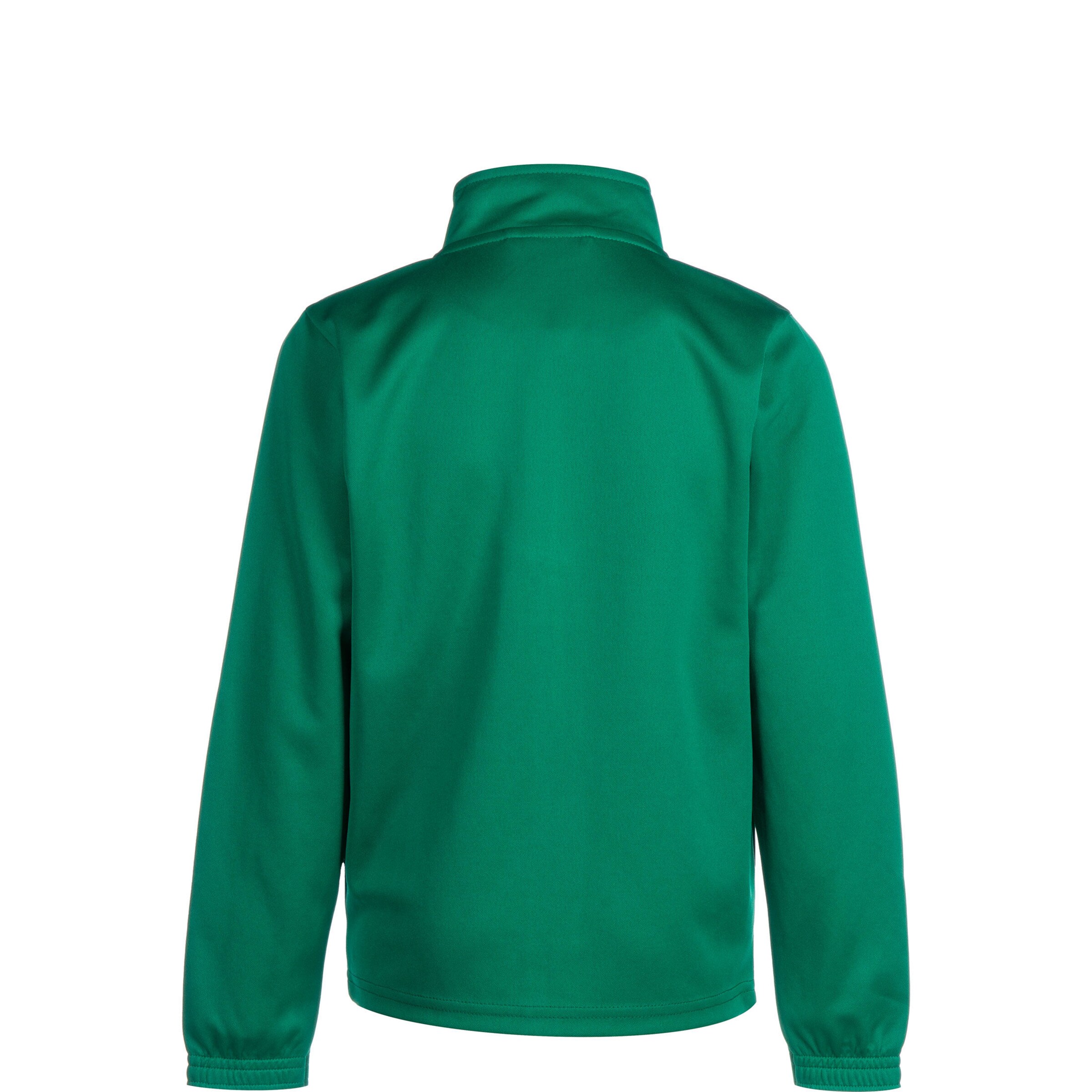 PUMA Trainingsjacke 'TeamRise' in Grün